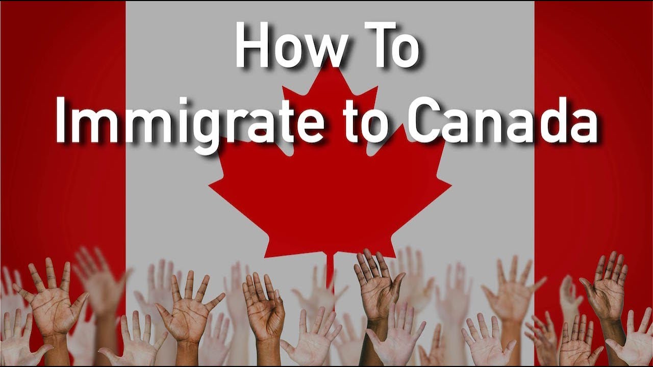 immigration lawyer toronto